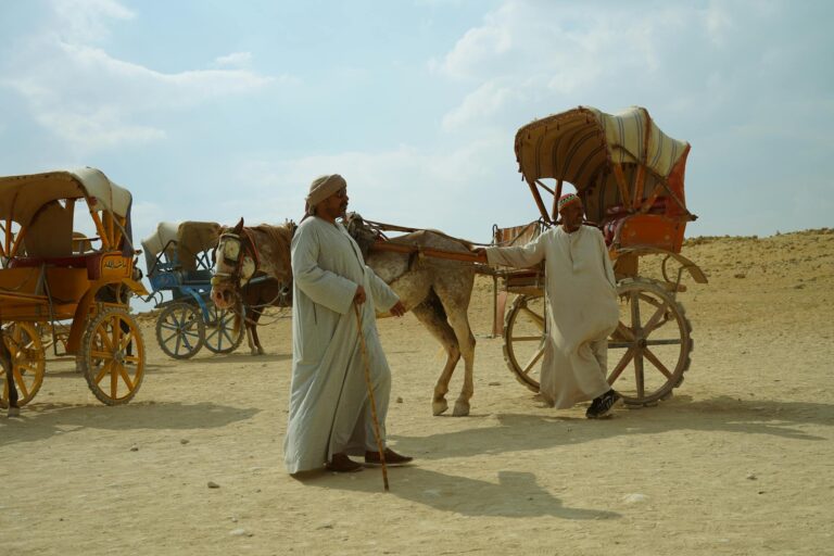 Men with horse-drawn carriages in the Giza desert, capturing traditional Egyptian transportation.